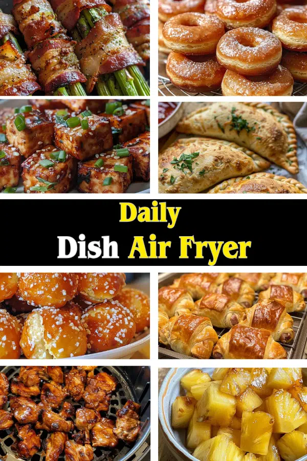 Daily Dish Air Fryer